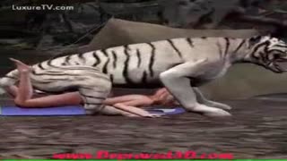 Длинный хуй тигра разрывает пизду русской зоофилки