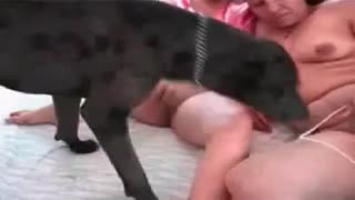 Two coeds in bed, gave the dog lick my shaved pussy