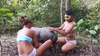 The two zoofilki suck foot fuck boar and poking it in pussy