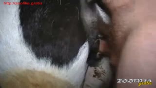 Uncle hairy pussy meringue condom cums in the mare