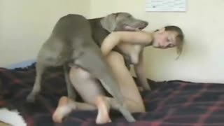 Fucking a young girl with a dog