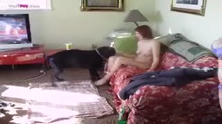 Group anal zoo sex with a dog