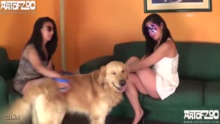 Quality sex with animals, Russian girls talking