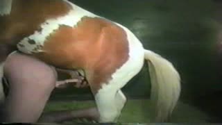Кінь і жінка - відверте зоо порно