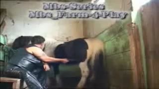 Miss bestiality indulges in pussy with a horse dick