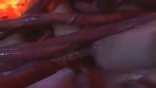 Много щупальцев осьминогов трахают мелкую письку ненасытной арабки