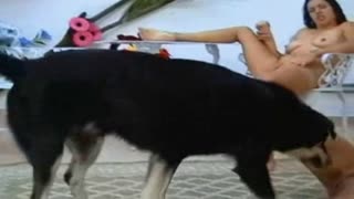 Junge таджички ficken mit einem Hund und geben ihm cum in Fotze