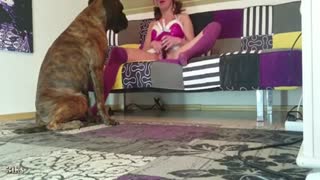 Christmas boxer dog fucked young girl with cancer in the pussy