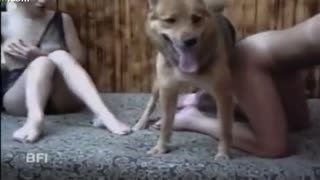 Schäferhund fickt in der Sauna zwei russische Mädchen