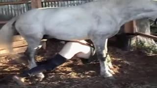 Пидорас трахается с конем. Жесткий зоо секс коня и гея