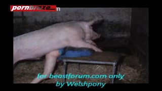 Порно свинья трахает мужика в жопу