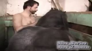 Russische Kerl schon gelutscht Pferd Schwanz danach steckte ihn sich in den Arsch