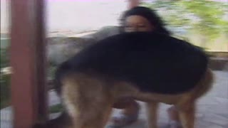 Sex therapy for a beautiful lesbians with dogs