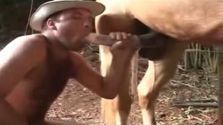 Old guy sucks horse cock and then inserts it in her ass