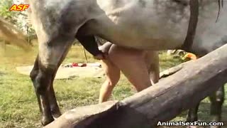 In the hairy pussy of an old grandmother, the horse diligently ends up with sperm
