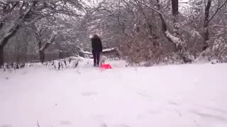In winter, outside in the woods dog fucking hairy pussy of his mistress