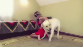 Зоо порнуха смотреть: блондинка отсосала огромный красный хуй собаке